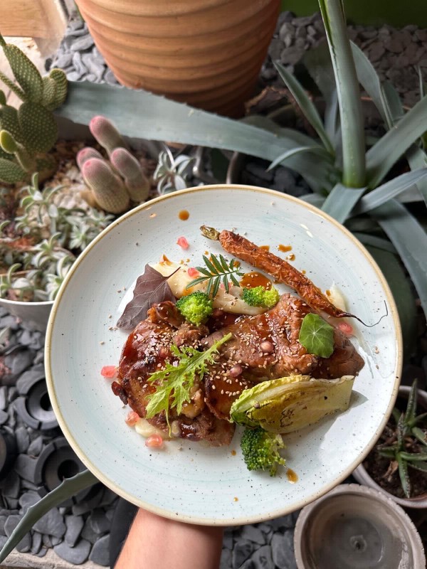 Passer une soirée gourmande et conviviale avec menu dégustation et vins choisis à L’Isle-Jourdain